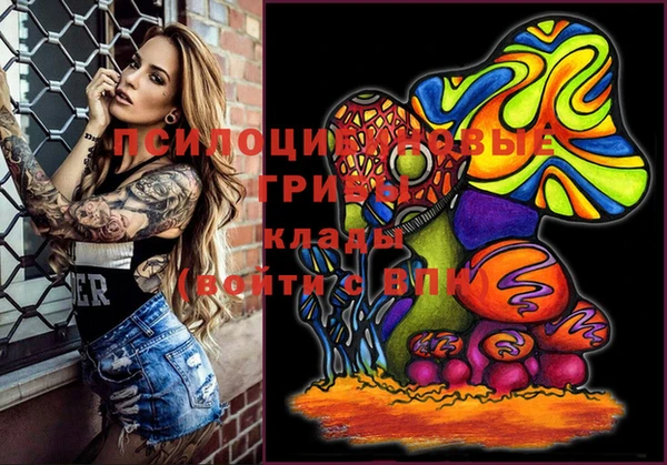 соль ск Бабаево