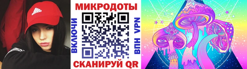 Купить где  Алексеевка  Псилоцибиновые грибы ЛСД 